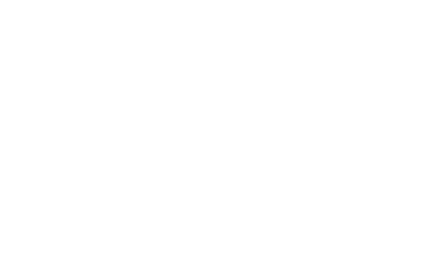 The Voice